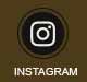 instagram-icon-80x75